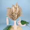 Objets décoratifs Figurines Crème Petite herbe de pampa Fluffy Room Phragmites Décoration Queue de lapin naturelle Herbe Fleurs séchées Bouquet Boho Home Decor L230724