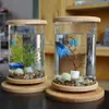 1 pç mini vidro base de bambu para tanque giratório decoração aquário garrafa ecológica acessórios289O