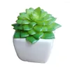 Fleurs décoratives Plante Artificielle En Pot Simulation Décor Faux Plantes Succulentes Faux Bonsaï 4 Pots