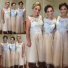 White And Champagne Short Bridesmaid Dresses For Wedding Plus Size Lace Top Sleeveless Maid Of Honor Gowns Tulle Tea Length Brides278s