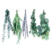 Fleurs décoratives tiges d'eucalyptus Branches vraies feuilles de bricolage lavandes pour douche Vase remplissage Arrangement décor à la maison