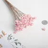 Fleurs décoratives 30 pièces séchées naturelles Mini marguerite petite étoile Bouquet plantes préserver Floral mariage mariage décoration