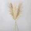 Decoratieve Bloemen 1-1.2m Natuurlijk Wit Pampas Gras Grote Grote Echte Gedroogde Boeket Kunstplanten Voor Bruiloft Thuis Woonkamer Decoratie