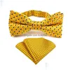 Bow Ties Fashion Accessories slips för män bowtie näsduk set cravat kvinnlig manlig strippad klänning män formell droppleverans