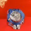 Costumes de chat vêtements pour animaux de compagnie belle couleur de contraste Cosplay deux jambes chiot Kitty robe vêtements