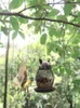 Anderer Vogelbedarf, Katzenfutterstation, Stahldraht, Kunsthandwerk, Ornamente, Metallfeld, Balkon im Freien