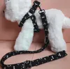 Simple Presbyopic Dog Rope Leash Dog Leash Small Dog Teddy Medium Pet Corgi Puppy Chest Strap Golden Retriever Width 2.5cm