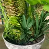 التماثيل الديكور التماثيل 26/37 سم النباتات النضرة الاصطناعية استوائية مزيفة dracaena شجرة bonsai mini agave بكيت على سطح المكتب على سطح المكتب ديكور الشرفة l230724