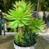 التماثيل الديكور التماثيل 26/37 سم النباتات النضرة الاصطناعية استوائية مزيفة dracaena شجرة bonsai mini agave بكيت على سطح المكتب على سطح المكتب ديكور الشرفة l230724