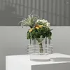 Vazen Tijd Streep Kristal Transparant Bloem Ware Vaas Indoor Woonkamer Arrangement Tafel Oppervlak Kunst Decoratie Ornamenten