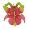 Pluszowe lalki 25 cm Kawaii Dragon Fruit Macaroon Toy Pitaya Dinosaur Pchane zwierzę Miękkie dzieci Pluszowe Prezent dla dziewcząt 230724