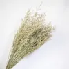 装飾的な花20-50g天然リモニウム乾燥結婚式の装飾美学ラブグラスバンチガーデンホームデコアバレンタインギフトマリア