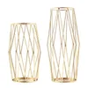 VASES IRON GOLD GLASS VASE WHASE WHASE LIVESALE ROOMテーブル装飾ドライフラワー水耕栽培花のアレンジ