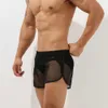 Men's Swimwear Men Mesh Sexy Swimming Trunks See Through Gay Shorts Underpants Home Pants Summer Beachwear Bathing Slips 230724