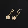 Boucles d'oreilles mode moustique bobine plaque oreille Clips pas de trous fée Zircon fleur doux Cool gland en gros