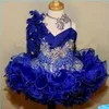 Schattig meisje Glitz Pageant Jurken Koningsblauw Kant Kralen Crystal Pageant Partij Jassen Meisje Tiers Toddler255u