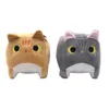 Esplosivi all'ingrosso Animale Quadrato Gatto Figura Peluche Gatto 21 cm Grab Machine Doll Kitten Doll