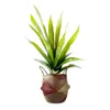 Fiori decorativi grandi piante artificiali foglie tropicali finti succulenti in vaso di plastica in vaso verde tigre piran pavimento yucca per casa