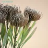 Dekorative Blumen Antike Cordifolium 45CM Pin Banksia Protea Silikon Künstliche Blume Party Event Schaufenster Weihnachtsdekoration Geschenk-