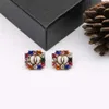Bengelen oorbellen charme ontwerper voor vrouw paar paar oorbel hoepel twee stukken sieraden meel accessoires gesp Agete kleurrijke Jewe250n