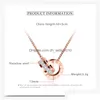 Hanger Kettingen Titanium Staal Cz Zirkoon Dubbele Cirkel Liefde Romeinse Cijfers Ketting Vrouwen Mode Straat Sieraden Drop Levering Penda Dhsqx