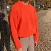 Erkek Sweaters Crewneck kazak Sonbahar ve Kış Koleji tarzı dip gömlek Kore sürümü çiftler gevşek tembel örgü