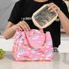 Zestawy naczyń obiadowych Wzór funkcjonalny torba termiczna pudełko na lunch przenośne izolowane torby piknikowe dla kobiet dzieci