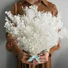 Flores decorativas 60g Preservado Pure White Baby's Breath Buquê Real Natural Babysbreath Flor Seca DIY Guirlanda Decoração Floral Vaso De Mesa