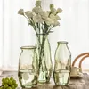 Vases Nordic Style Hydroponic Glass Vase Flower Small Decoration Modern Luxury Design Ikebana Vaas Aesthetic Room Decor WK50VA