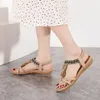 Sandalen Rimocy Zomer Vrouwen Bohemian 2023 Crystal Foam Antislip Sandalias Mujer Elastische Band Strap Lage Hakken Rome Schoenen 230724