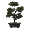 Dekoratif Çiçekler Orkideler Yapay Bonsai Heykeli Ev Dekoru Sahte Çam Konuk Greeting Office Plastik Ev