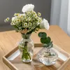 Vases Vase De Fleur Pour La Décoration Intérieure En Verre De Bureau Terrarium Table Ornements Plante Décorative