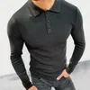 Heren Casual Shirts Mode Slim Fit Mannen Gebreid Polo Shirt Herfst Revers Knop Lange Mouw Trui Mannelijke Effen Kleur Check Hoge kwaliteit