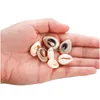 Shell Bone Coral Natural Small Sea Conch Shape Shell For Diy Jewelry Making Finding Accessories Supplies Seashell Necklace Bracelet 50Pcs