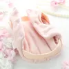 Dog Apparel Butterfly Lovely Pink Blue Lace Coats Thick Downs Jackets Chihuahua Pet Cat Winter Autumn Clothing For Dogs