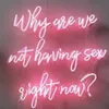 Why Are We Not Having Sex Right Now Neon Light Sign Home Beer Bar Pub Recreation Room Game Lights Windows Glass Wall Signs 24 20 i2964