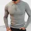 Heren Casual Shirts Mode Slim Fit Mannen Gebreid Polo Shirt Herfst Revers Knop Lange Mouw Trui Mannelijke Effen Kleur Check Hoge kwaliteit