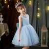 Mädchen Kleider Baby Mädchen Tüll Ärmellos Kinder Erster Geburtstag Kleid Säugling Für Taufe Kostüme Kleid Hochzeit Brautjungfer Party