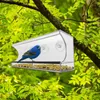 Autres fournitures pour oiseaux Conteneur de nourriture Jardin Mangeoire incassable Efficace Respectueux de l'environnement Forte capacité de charge