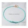 Collane di perline Colorf Perline di semi Chocker Boho Collana di perline arcobaleno Pietra preziosa naturale Turchese Ametista Pietra per le donne Summer Beach Dhqel