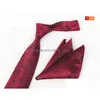 Neck slips Set Luxury Mens Ties Square Scarf Floral Paisley Party Pocket Squares Cufflinks Man Fashion Accessories Drop Delivery