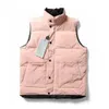 Giubbotto da uomo gilet design gilet bodywarmer femminile per abbigliamento autunno inverno inverno grigio rosso etichetta rossa rossa di lusso materiale piuma sciolta cappotto di tendenza della moda dimensioni s m l xl xxl