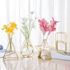 Vasen Vase Home Dekorationen Raumdekor Metall Blume Eisen Holde Glas Esstisch Hydroponische dekorative Flasche Wohnzimmer