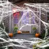 ハロウィーンスパイダーコットンデコレーションプロップスパイダーウェブスパイダーシルクプラスチックスモールスパイダーパーティーのセットアップ