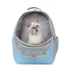 Chat transporteurs fournitures pour animaux de compagnie sac chien grande capacité sortie sac à dos chiot Oxford tissu pratique respirant