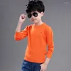 Blusas Masculinas Crianças Meninos Primavera Outono Suéter De Malha Casual Decote O Harmont Bordado Algodão Manga Comprida Blaine