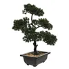 Dekoratif Çiçekler Orkideler Yapay Bonsai Heykeli Ev Dekoru Sahte Çam Konuk Greeting Office Plastik Ev