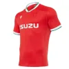 2021 2022 2023 Maillots de l'équipe nationale de rugby du Pays de Galles Cymru Sever Version Coupe du monde Polo T-shirt 20 21 22 Kit d'entraînement pour hommes gallois Jesery