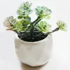 Flores decorativas 4 potes de suculentas falsas mini vasos de plantas suculentas para decoração de escritório em balcão de cozinha em casa