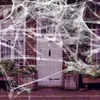 Halloween Spider Cotton Decoration Props Spider Web Spider Silk Plastic Small Spider Party Setup